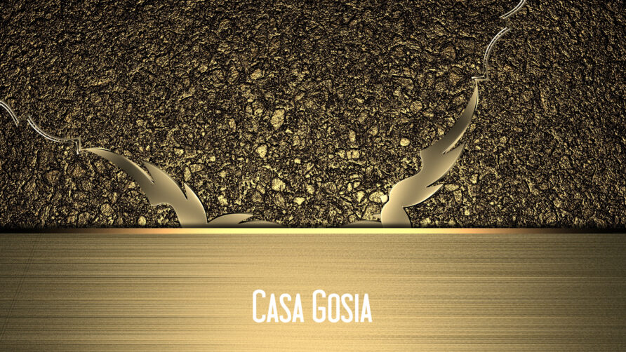 Casa Gosia